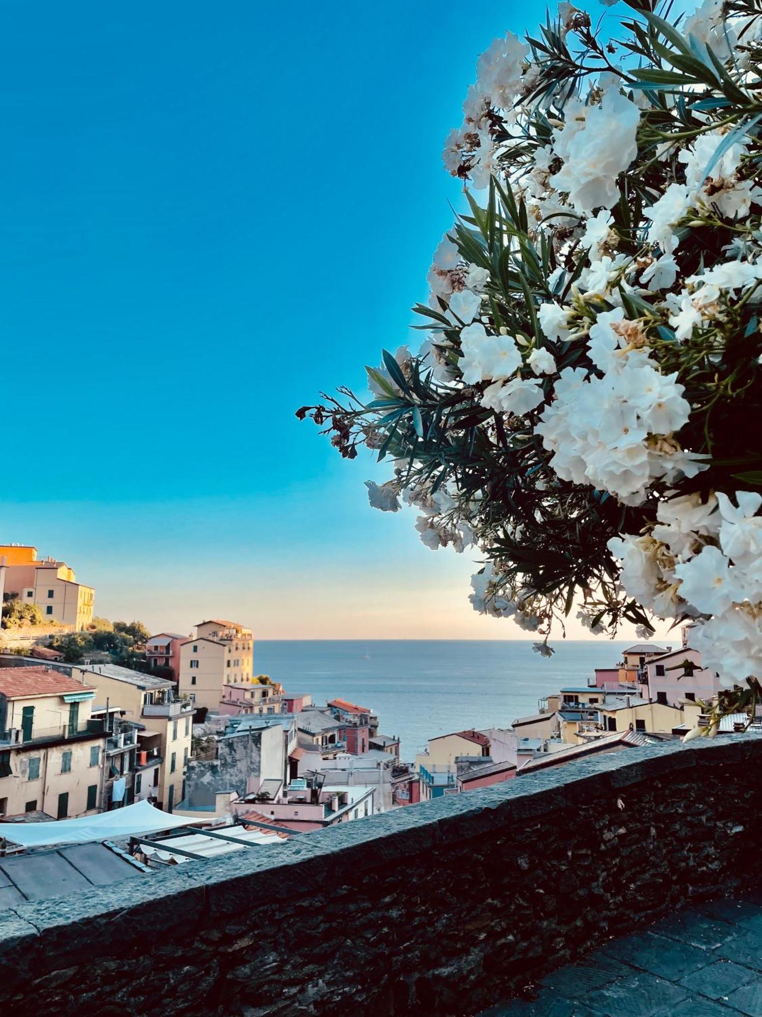 5Terreontherocks Riomaggiore Luaran gambar